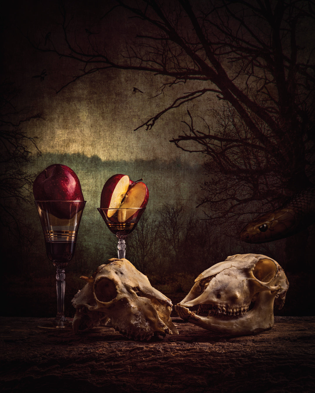 The Fall of Adam and Eve, Archival Pigment Print by Carlos Henaine