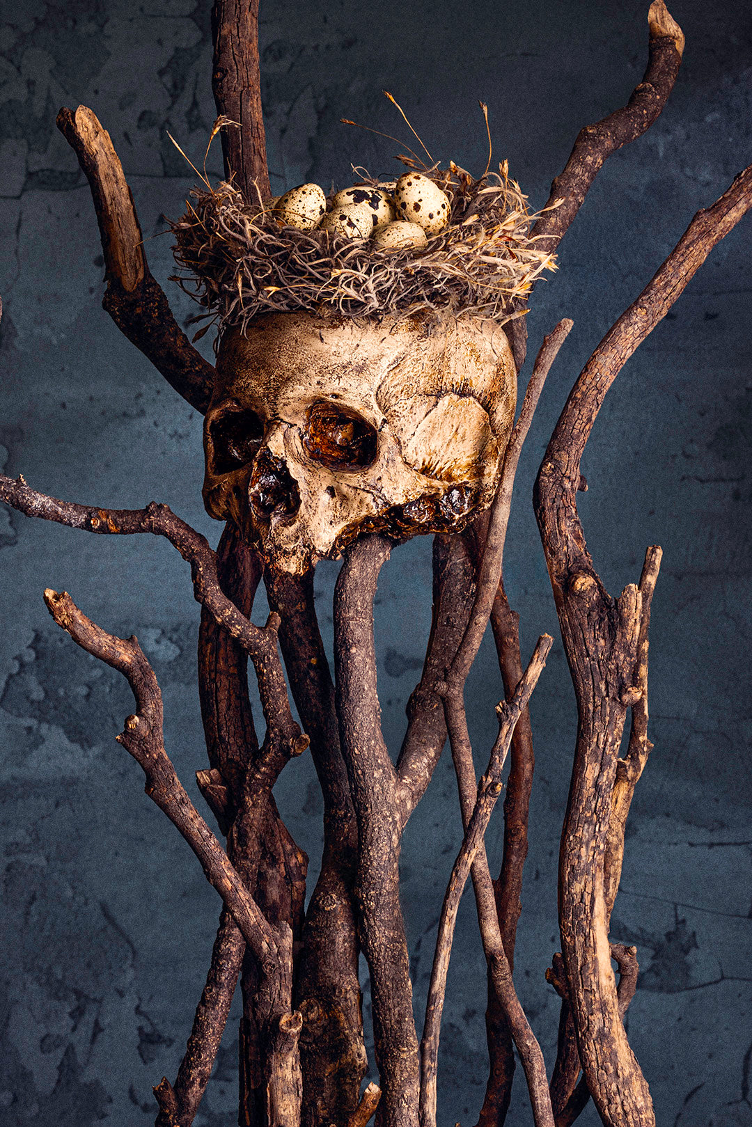 The Shape of Absence