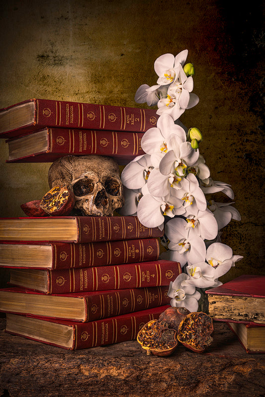 Glossary of Oblivion